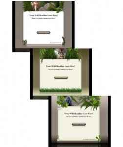 Wildlife Template and WP Themes