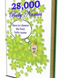 Alternative view of 28,000 Baby Names