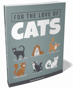 For The Love Of Cats 2021