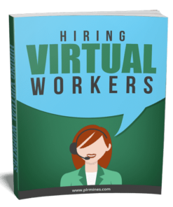 Alternative view of Hiring Virtual Workers