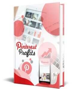 Alternative view of Pinterest Profits