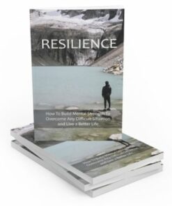 Alternative view of Resilience