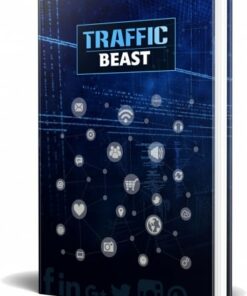 Alternative view of Traffic Beast