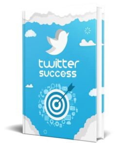 Alternative view of Twitter Success