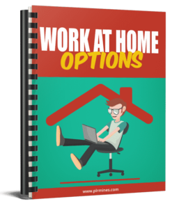 Alternative view of Work at Home Options