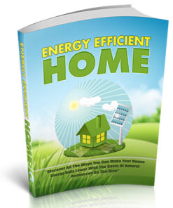 Energy Efficient Home