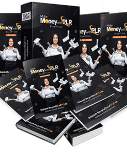 Make Money With PLR Blueprint