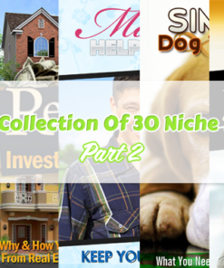 Unique Collection Of 30 Niche Reports Part 2