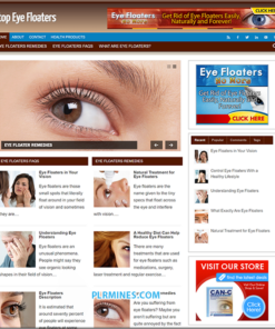 Eye Floaters WP Blog