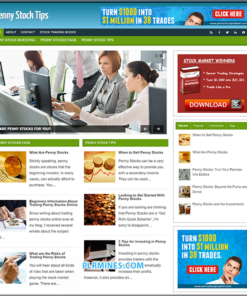 Penny Stocks PLR Blog