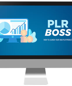 Masterclass On Launching PLR