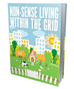 Non-Sense Living Within The Grid