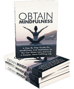 Obtain Mindfulness
