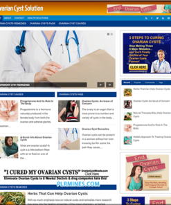Ovarian Cysts Niche PLR WordPress Website