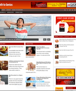 Path to Genius Niche WordPress PLR Blog