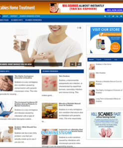 Scabies Treatment WordPress Web Site