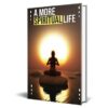 A More Spiritual Life
