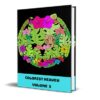 Colorist Heaven Volume 3