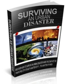 Surviving An Urban Disaster
