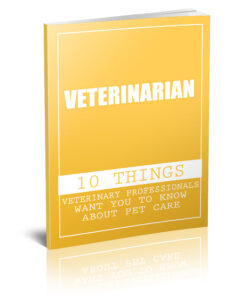 Essential Tips from Veterinary Experts